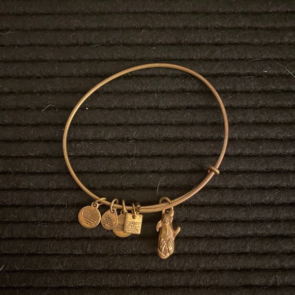 Alex and Ani "Side by Side" Otter Bracelet | Gold - Picture 4 of 7